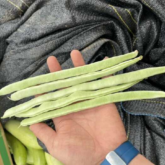 天水新货即将上市