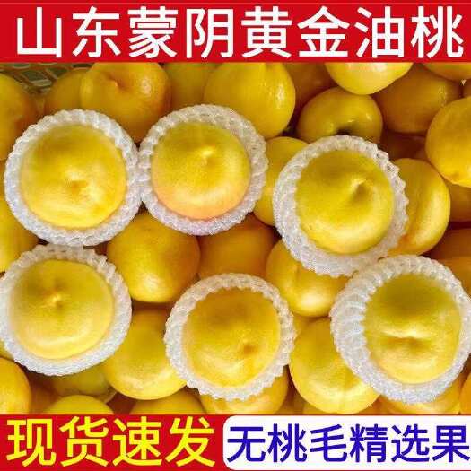 莘县山东蒙阴黄金油桃￼￼