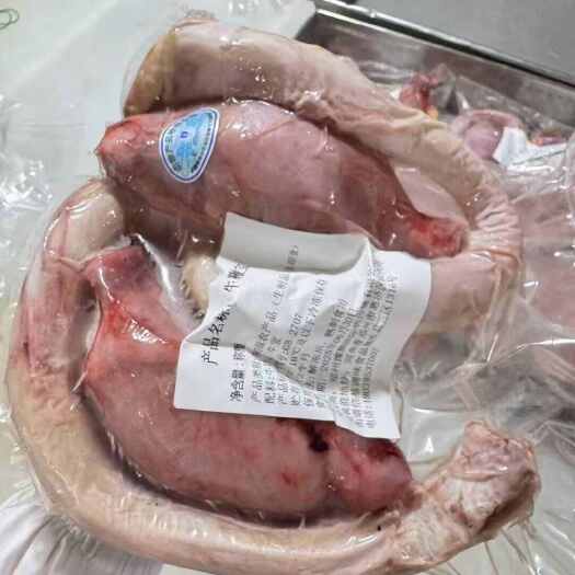 精修牛鞭宝 无鞭跟肉 郑州现货
