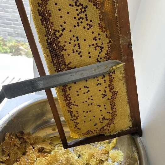 大邑县西岭雪山深山百花蜂蜜纯自然