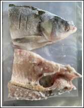 颍上县半片鱼头(160-300g）60个/件