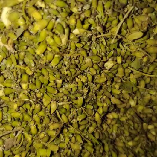 侯马市优质，国槐，槐米，无硫剂，
