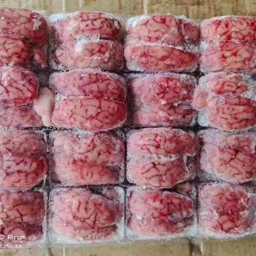 郑州羊脑，单体羊脑，新鲜冷冻，质量好，全国冷链发货
