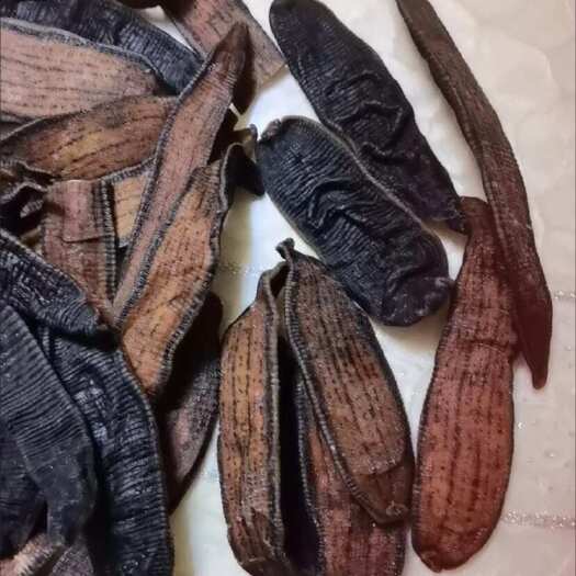 菏泽宽体金线水蛭干