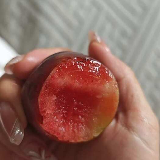 巴楚县新疆樱桃李（五个李子品种）