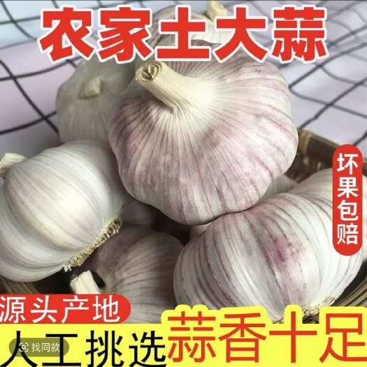 平邑县红皮大蒜大量现货支持一件代发，电商批发零售等