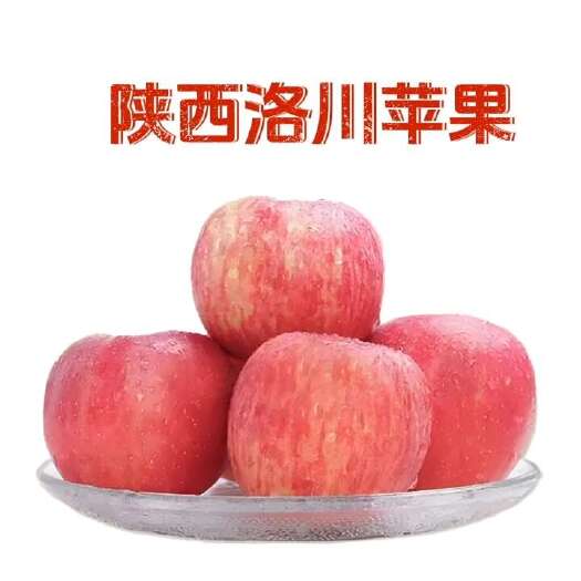 【回头客多】陕西洛川红富士苹果冰糖心孕妇水果 产地直发包邮