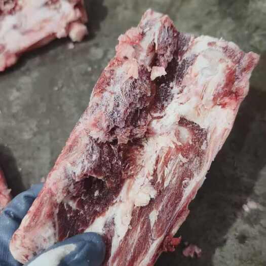杭州218白油腰椎骨