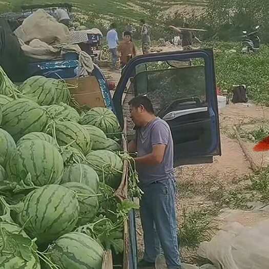 滁州滁州山地西瓜，价格便宜，质量好，西瓜很甜