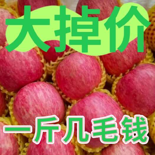 沂源县山东红富士苹果/全国发货/坏烂包赔/欢迎定购