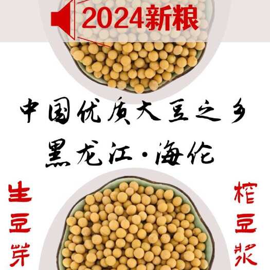 海伦市2024年黑龙江海伦大豆高蛋白非转基因大豆产地直发