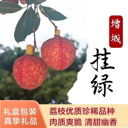 广州增城原产+正综增城挂绿荔枝，肉质爽脆！精美包装，送礼佳品包邮