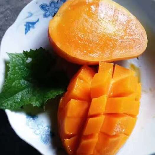 田东县代办，网袋果。