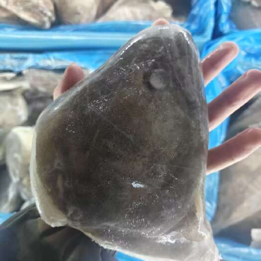 鲽鱼头红烧，清蒸，碳烤，酱焖等做法