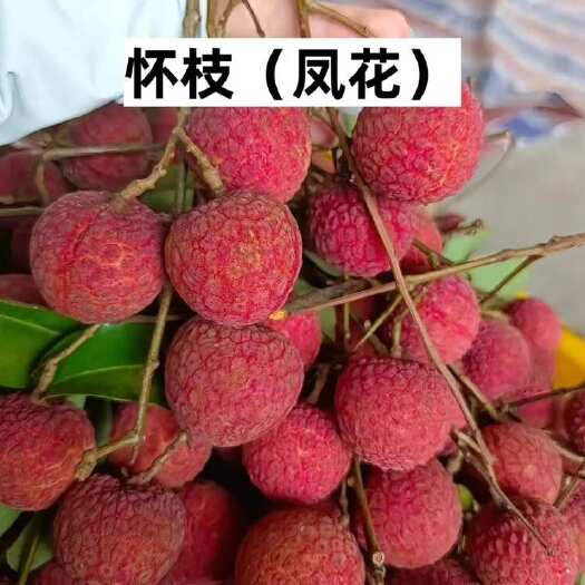 陆丰市广东汕尾陆丰荔枝新鲜热带水果顺丰包邮 （代办、代收）联系