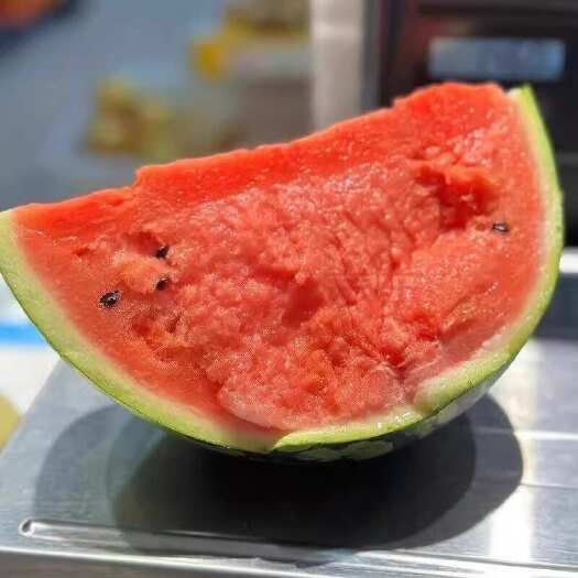 平阳县麒麟瓜8424现摘薄皮脆瓤红瓤自家种西瓜价格优惠浙江省平阳县