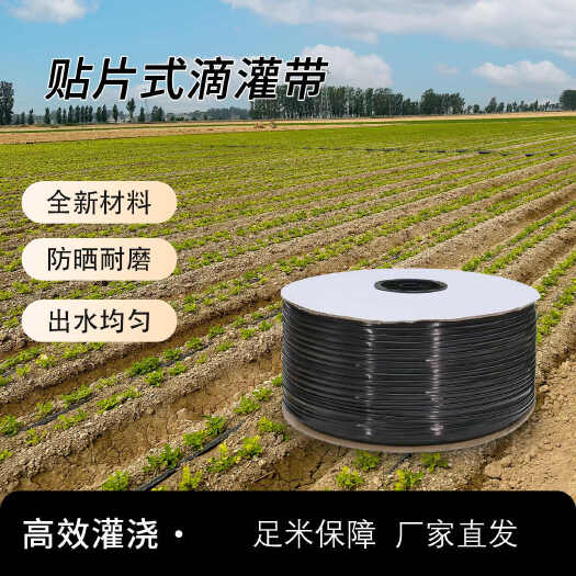渭南贴片式单孔双孔滴灌带滴灌管