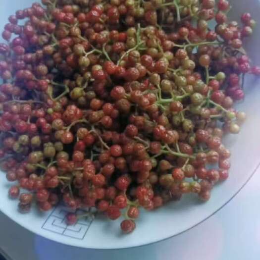 贵州本地花椒，特点香麻，用途提椒麻油，饮食提香提麻