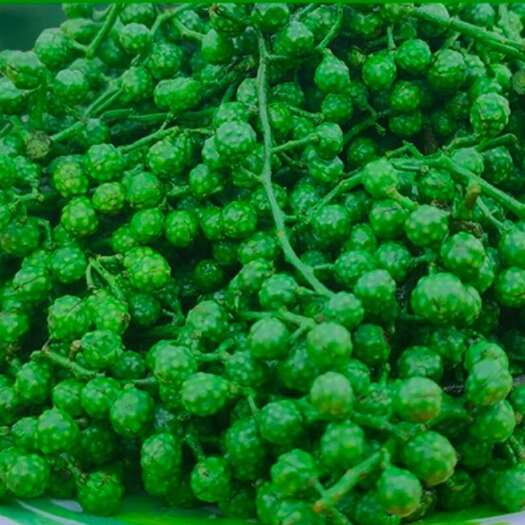 盐边县青花椒，一颗入口，麻味持久留存