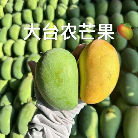 田东县田东芒果自产自卖值得信赖