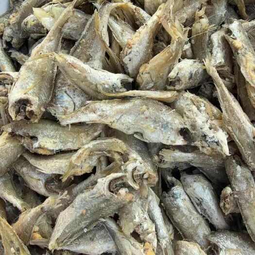 盘锦盘锦大洼二界沟白脸鱼肉