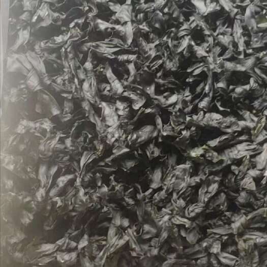 樟树市海带结1箱9斤