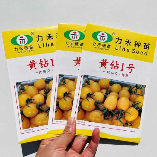 沭阳县黄钻一号黄色小番茄种子  黄虎皮黄色番茄种子