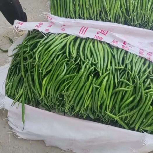 8000斤起