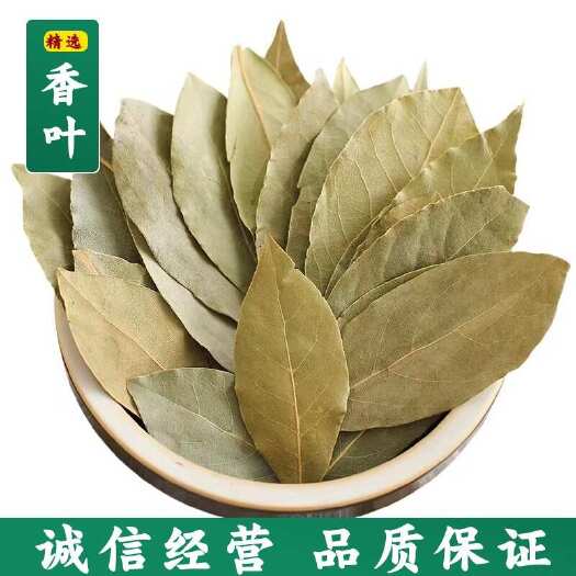 玉林五斤起批新货特绿香叶片形大 绿度好 全干