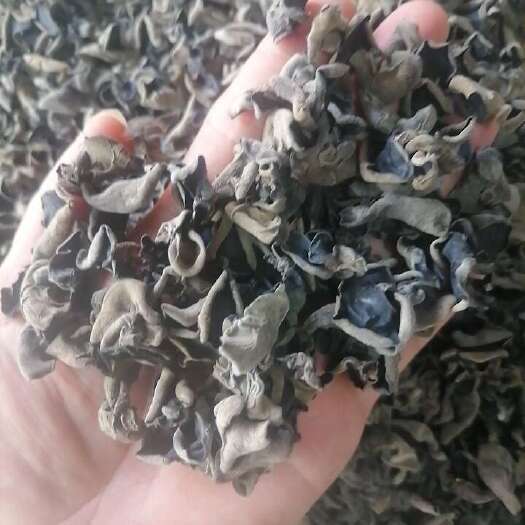 东北黑木耳 ≥1.2mm 干货 特级
