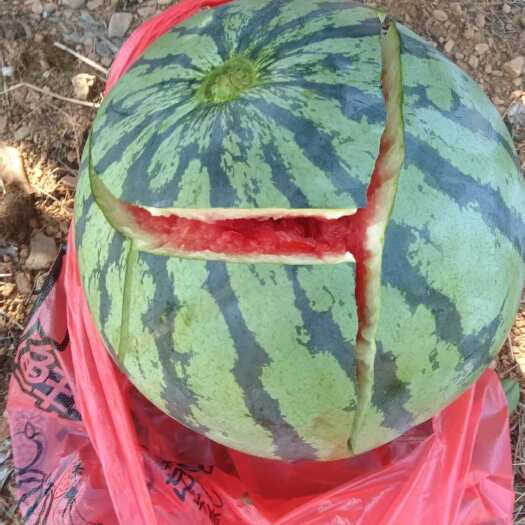 吉水县甜王西瓜