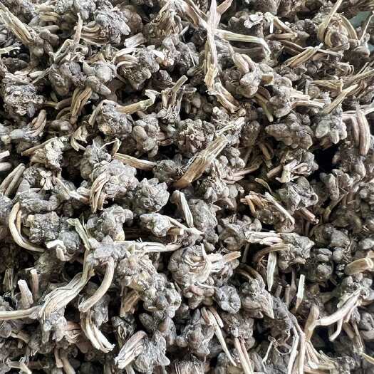 淮滨县猫爪草 大别山山货