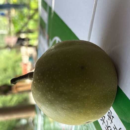 黄草山翠冠梨