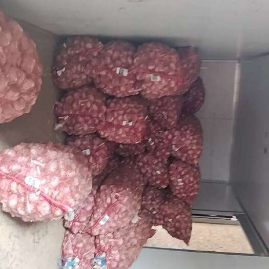 任丘市紫皮大蒜