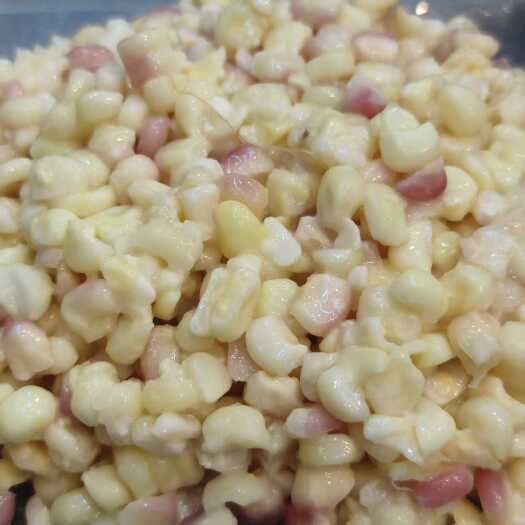 遂溪县玉米酒槽批发野钓打窝喂猪牛羊食料打窝料鲤鱼草鱼钓鱼