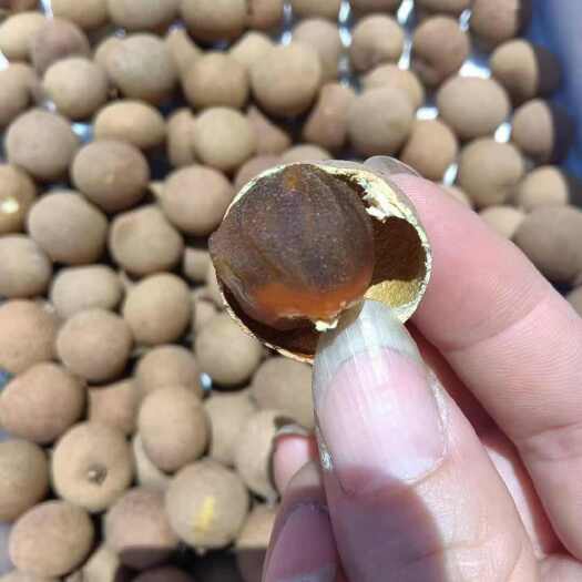 高州市批发 桂圆干 精品果 广东高州产地桂圆干