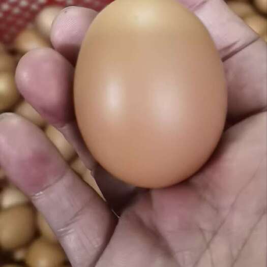 临期富硒鸡蛋