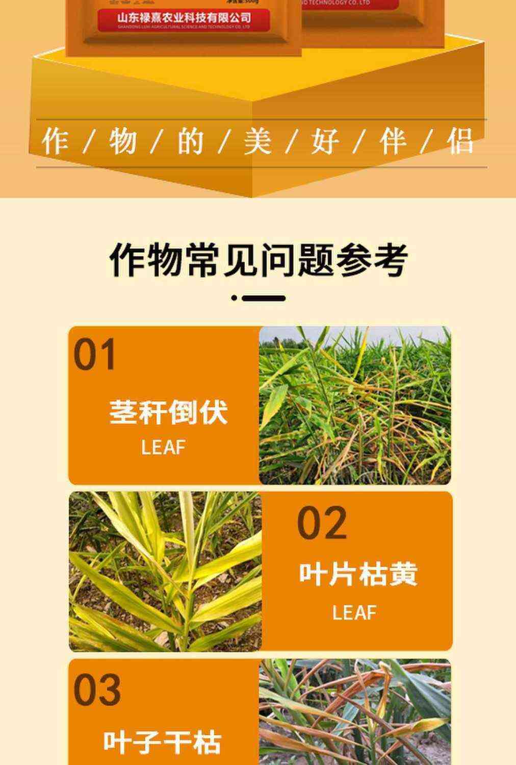 姜瘟一撒清生姜微生物肥料专用改善预防农资炭疽叶枯腐烂