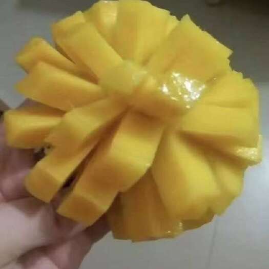 郁南县自家种植花皮金煌芒，果实硕大，肉厚多汁，质感Q弹，果冻口感，