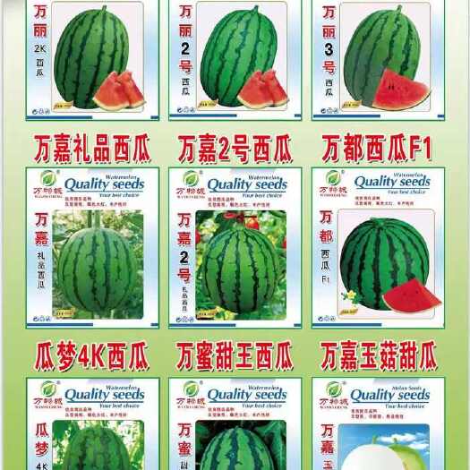青州市西瓜种子