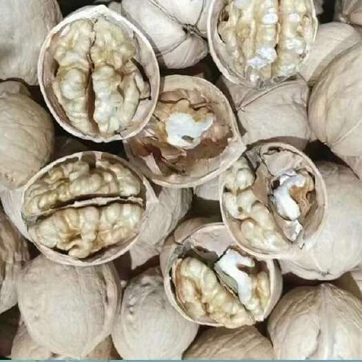 185核桃   量大者优惠