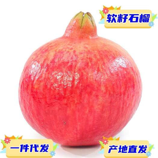 预售一件代发四川会理突尼斯软籽石榴当季时令新鲜现摘水果供电商