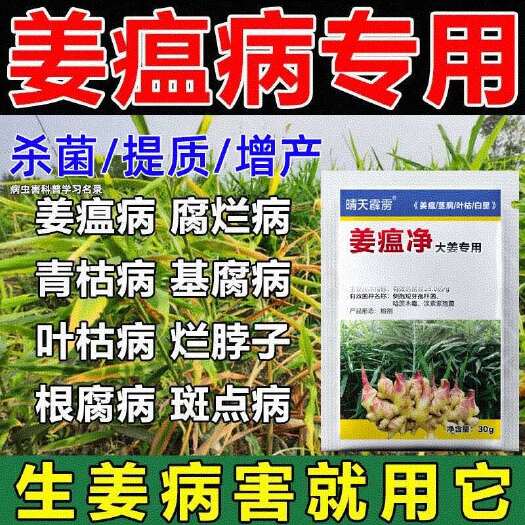 姜瘟病生姜病干尖黄叶全治生姜杀菌剂姜瘟清姜瘟灵生姜专用姜瘟净