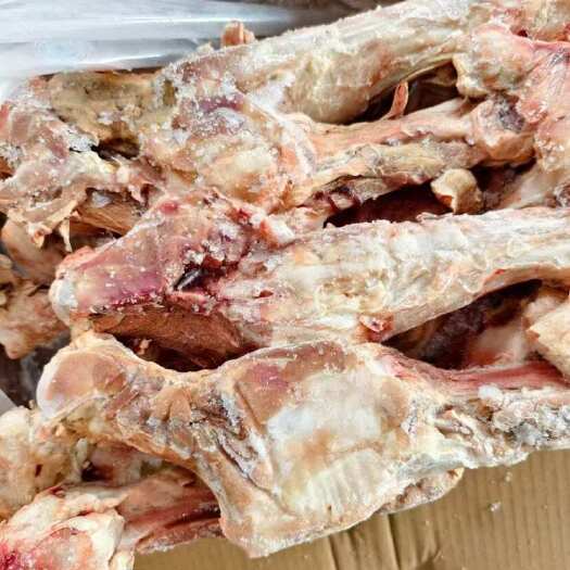 鄄城县大日期后腿骨