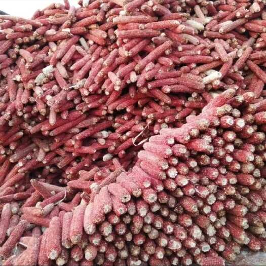 虞城县玉米芯