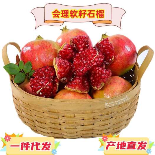 会理市一件代发预售 凉山会理软籽突尼斯石榴现摘供应电商各大平台直播