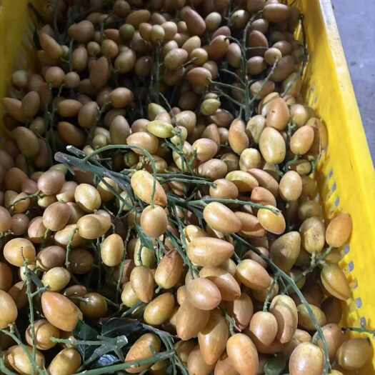 平南县黄皮