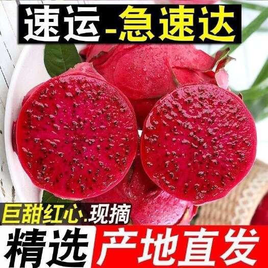 玉林广西红肉火龙果金都一号
