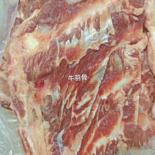 大厂县牛羽骨
