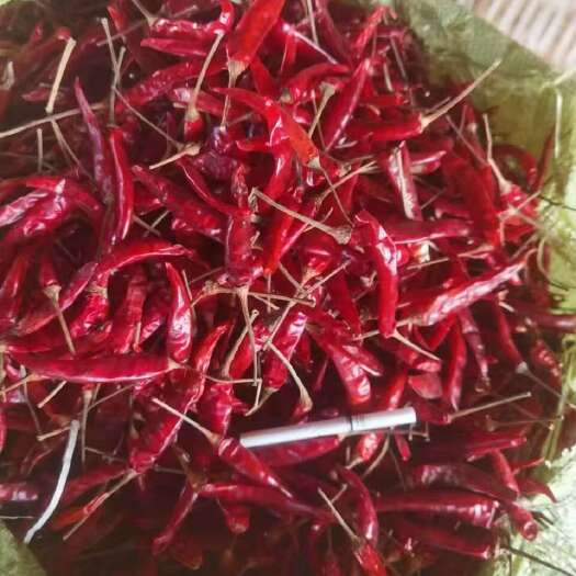 瑞丽市缅甸干辣椒